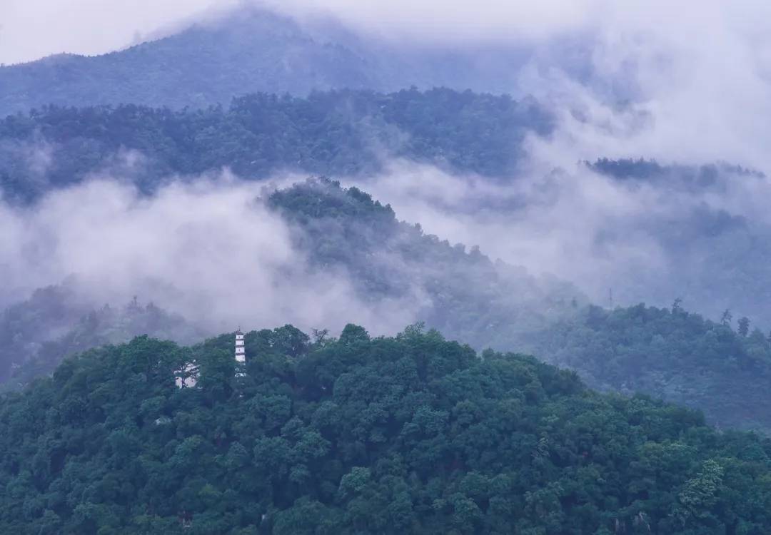 聂腾飞老婆改嫁给了谁,聂腾飞因车祸老婆改嫁