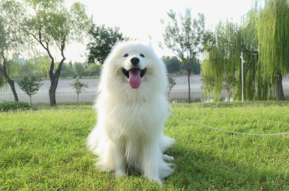 美少女必备vlog美颜相机，松下LX10全搞定