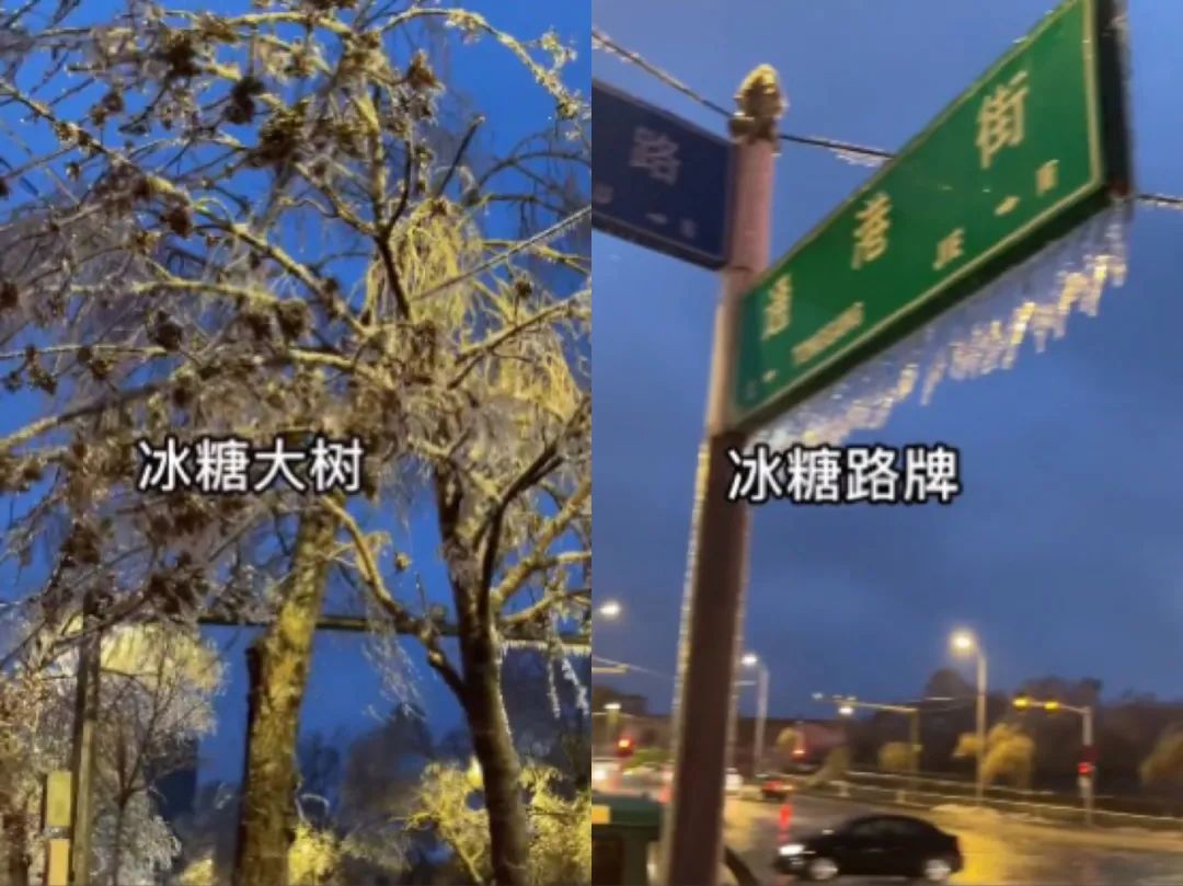 东北街上的冰糖大蒜,都卖给谁了?