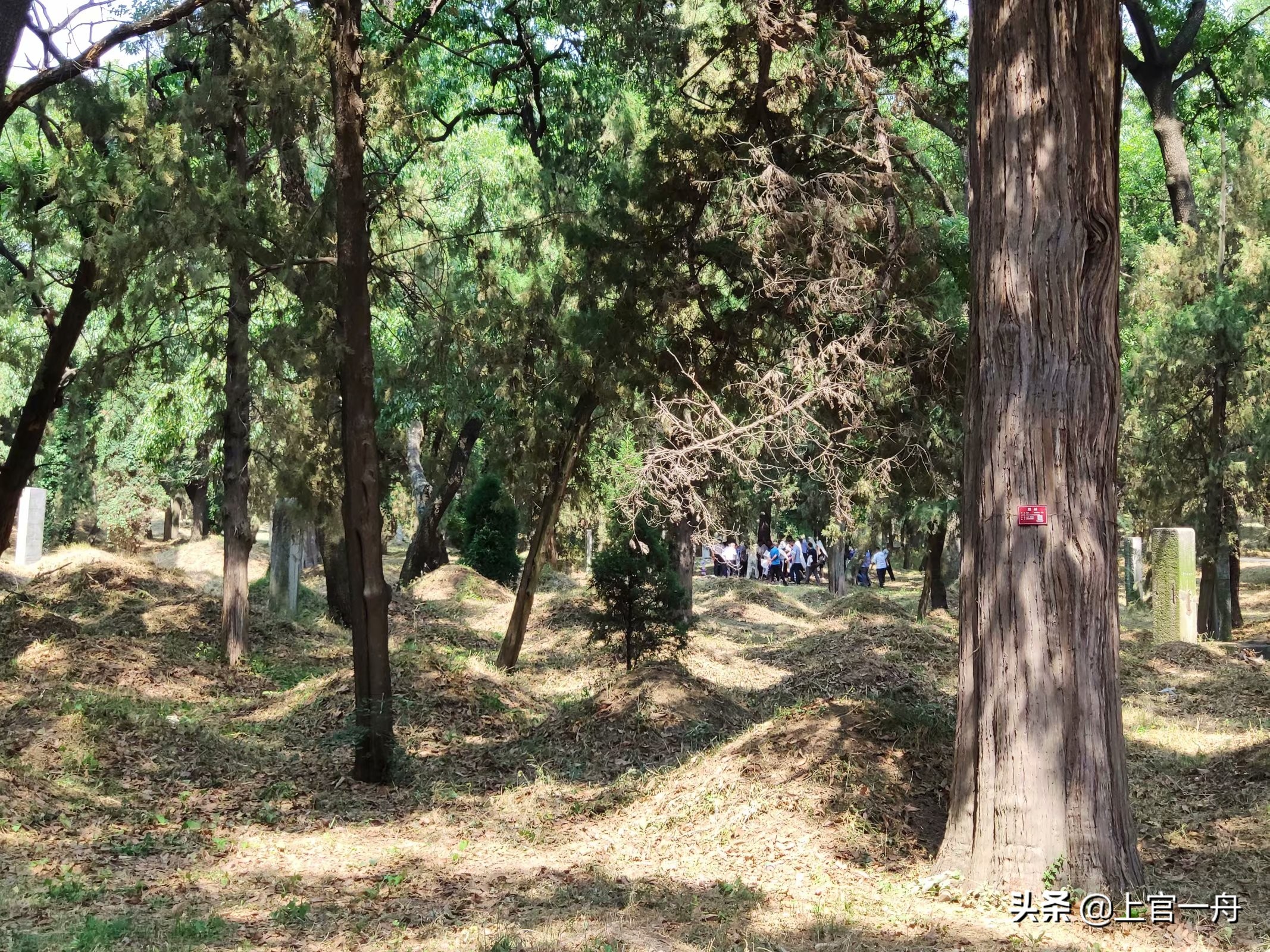 去往孔子故乡，原来孔子后人还有这种特权