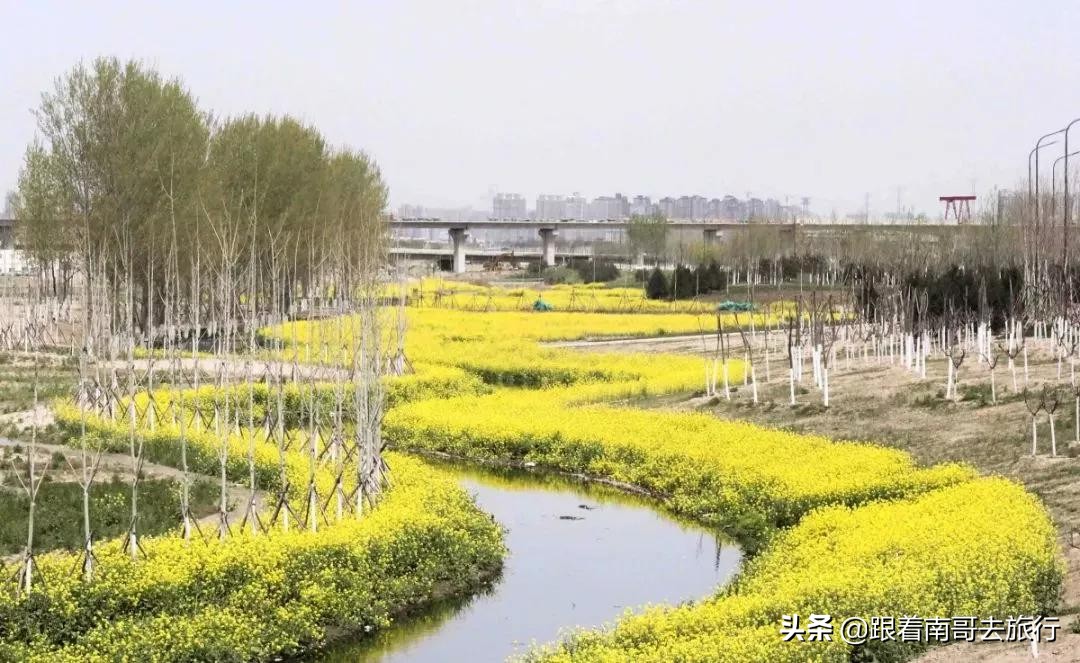 西安附近的公园免费景点推荐,西安公园免费旅游攻略最新