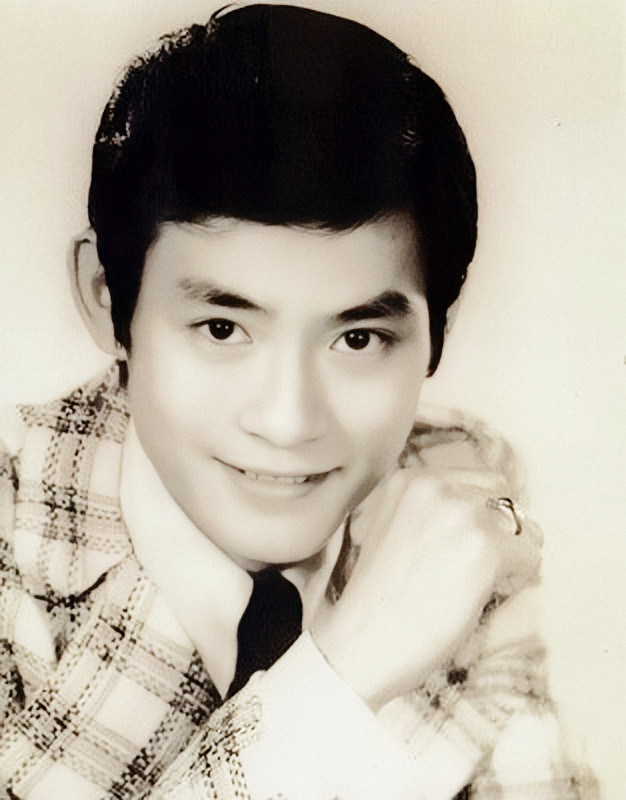 肥姐沈殿霞故事直播,肥姐沈殿霞的故事