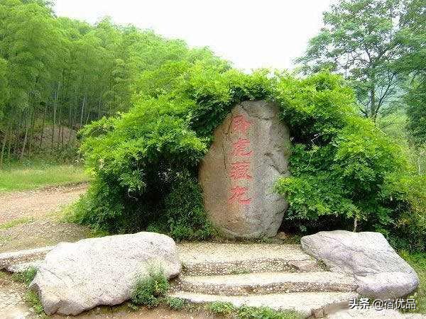 春节安吉农家乐包吃住价格,安吉董岭最好的农家乐包吃住