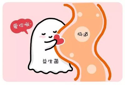 比较火的益生菌,益生菌为什么突然火了