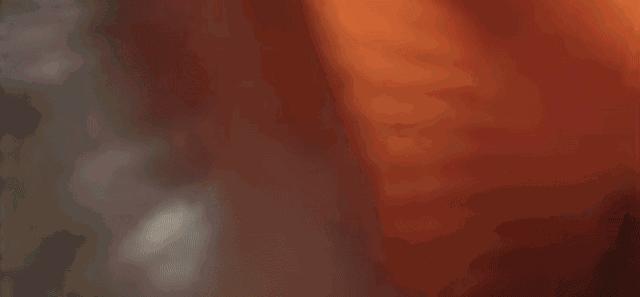 亚马逊河里的恐怖之处,亚马逊河里有多恐怖