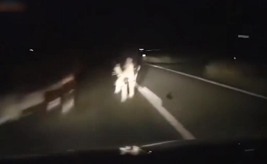 货车撞上牛群当场撞死14头牛,货车撞上牛群致14头牛当场死亡