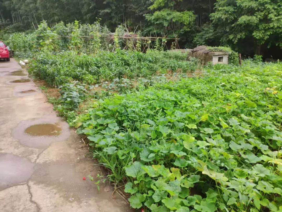 宜兴山里亲子酒店,宜兴山里的酒店