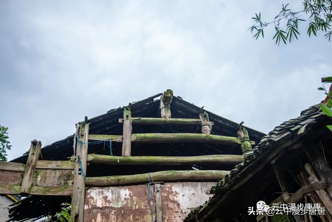 行走的风景岳池,行走的“风景”