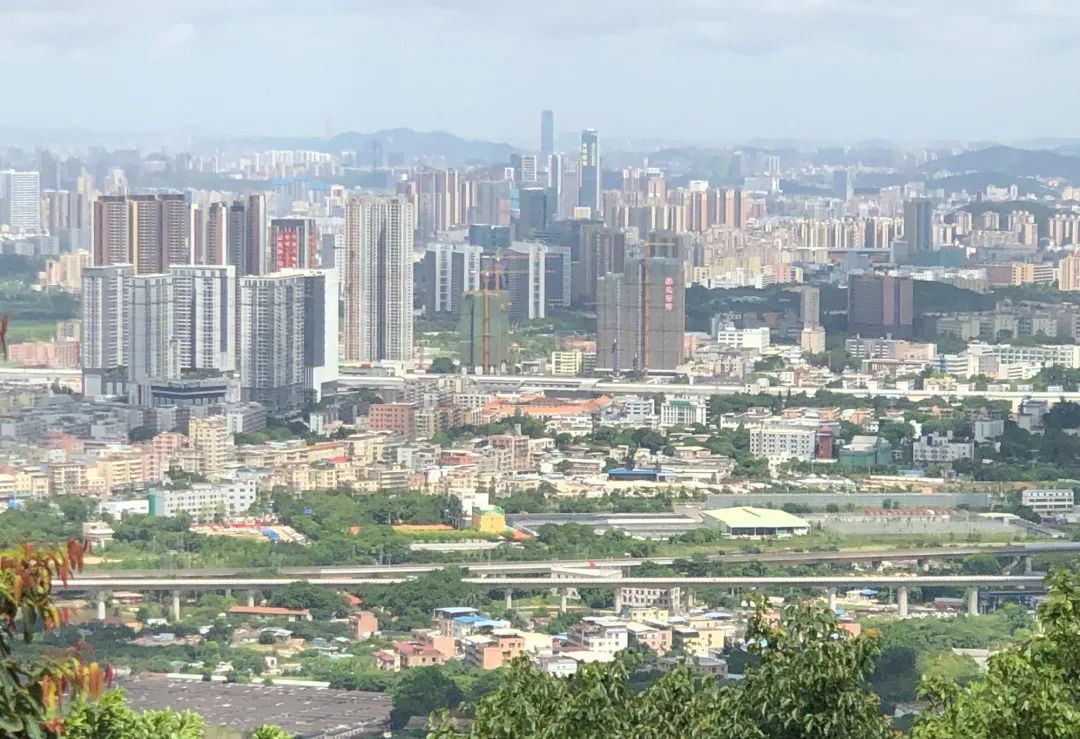 深圳天空之镜网红玻璃桥,深圳玻璃桥免费旅游攻略