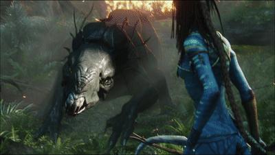 阿凡达最新彩蛋,阿凡达你不知道的隐藏细节