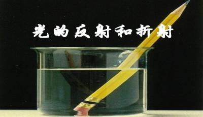 2020年中考总复习:光现象、透镜及其应用知识点总结