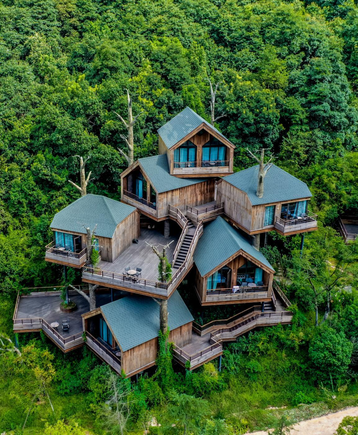 开元森泊度假项目,开元森泊度假乐园树屋杭州