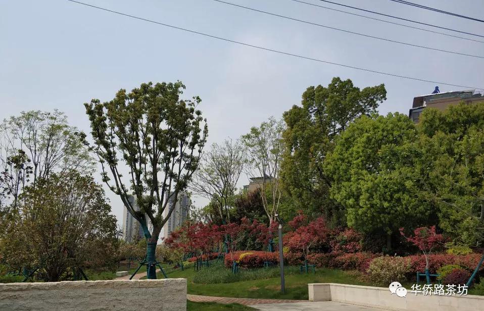 南京这几年大变化,南京有哪些新变化