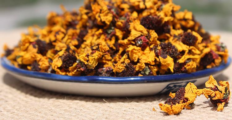 冰山上的来客昆仑山的雪菊,冰山雪菊真实图片