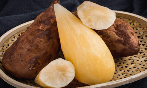 雪莲果种植方法和技术视频,山东雪莲果种植技术与日常管理