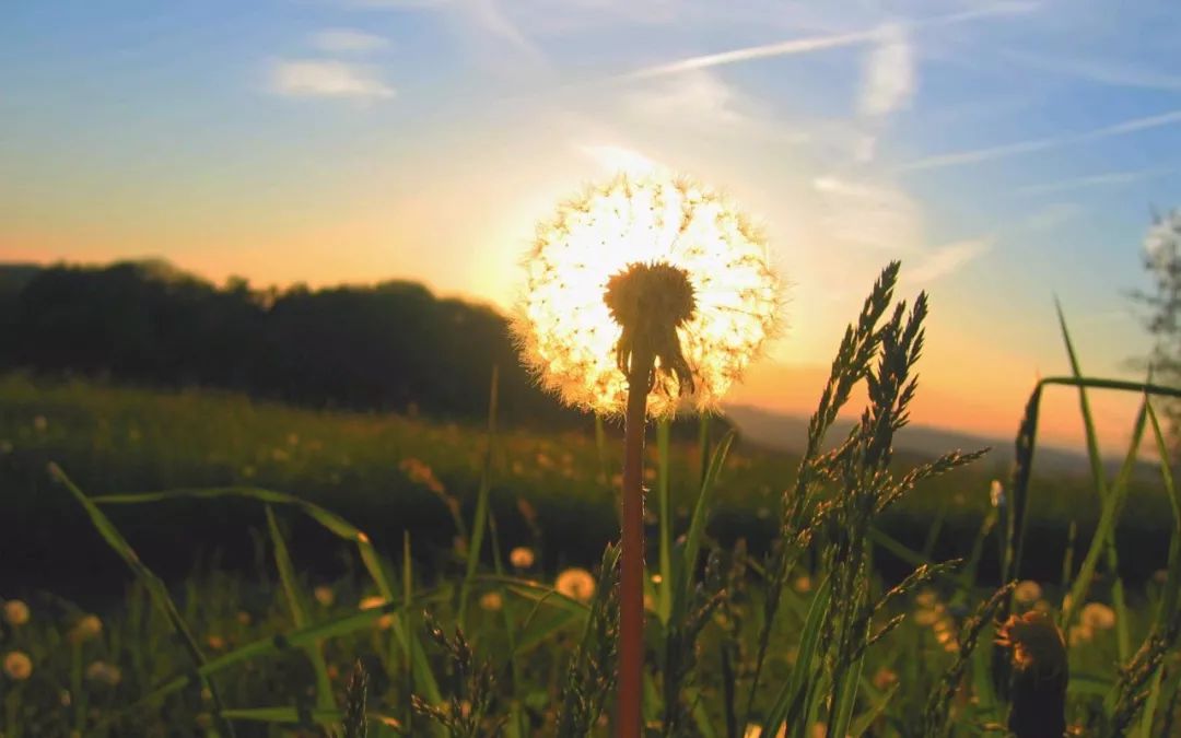 有心同读丨省政协原副主席陈光：虽只是个过客，却细细品尝了菏泽味道