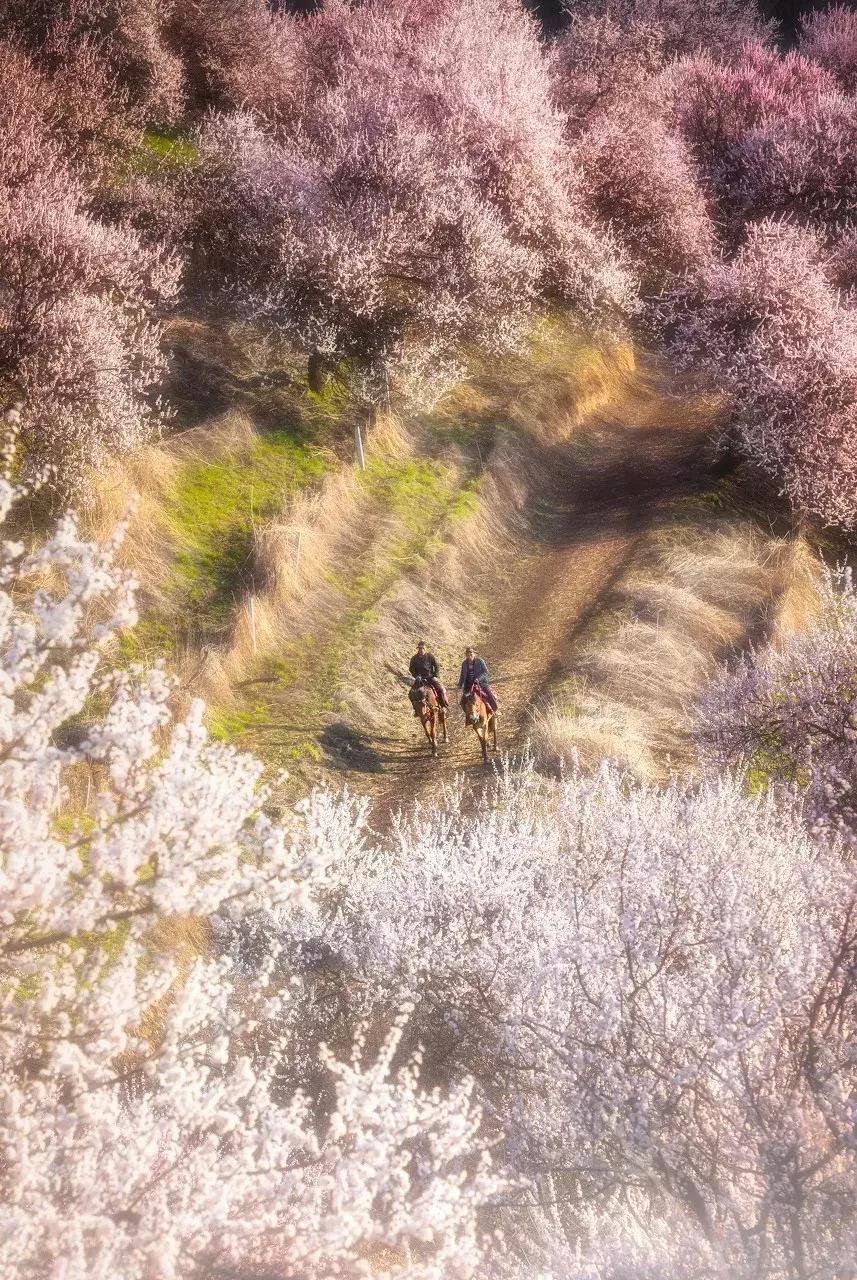 新疆的天堂在哪,新疆人间天堂在哪