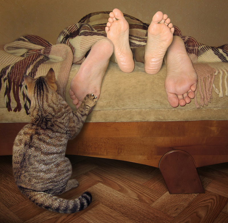 加钟的“极致厚避孕套”