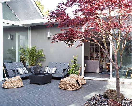 无花果树在庭院内种植有什么寓意,冷杉树长在庭院里风水上有说法吗