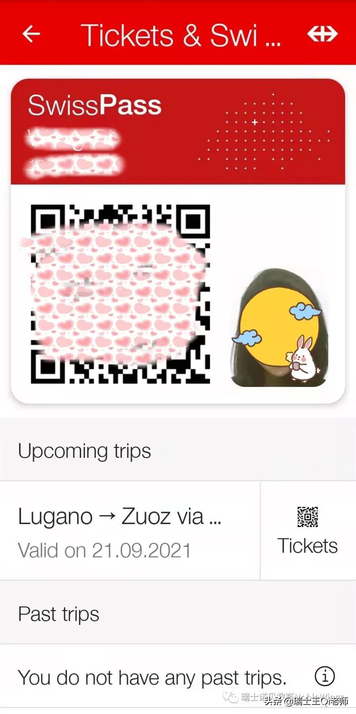 瑞士老司机在成都,瑞士老司机视频