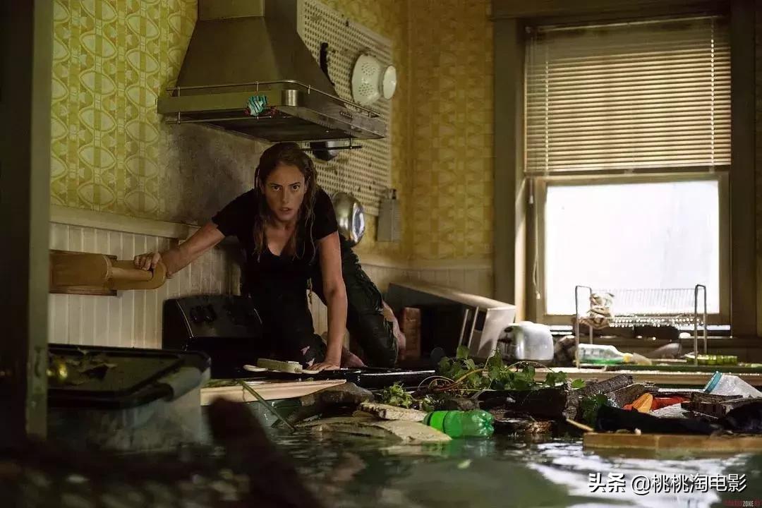 名侦探柯南开年篇合集,诛仙与小小的愿望