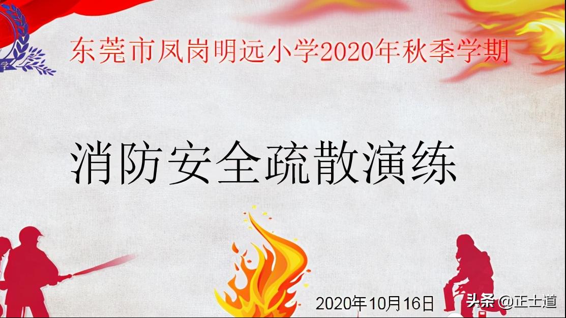 东莞凤岗明远小学,东莞明远小学