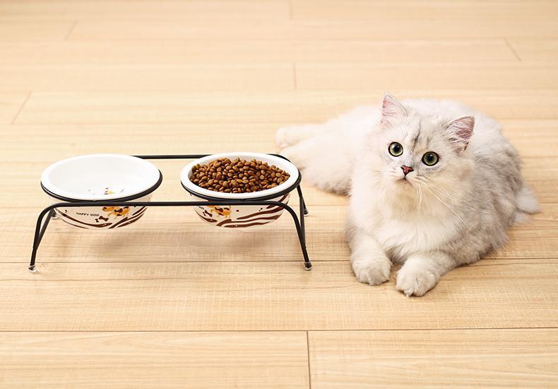 性价比高的平价猫粮有哪些,口碑最好的平价猫粮十大排行榜