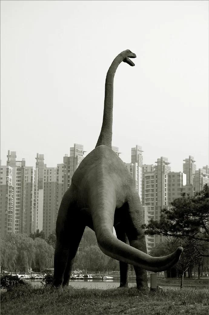 天津百年老街图,百年天津老照片