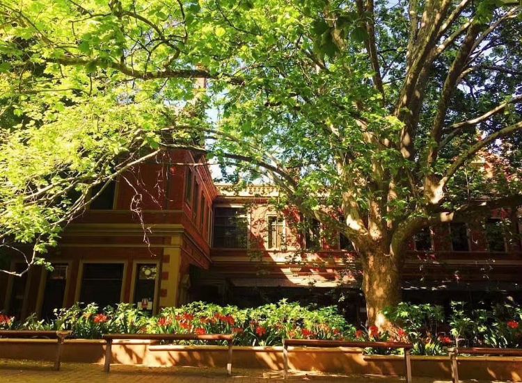 在澳洲想拿绿卡需要什么条件,澳洲拿绿卡可以把父母接过去么