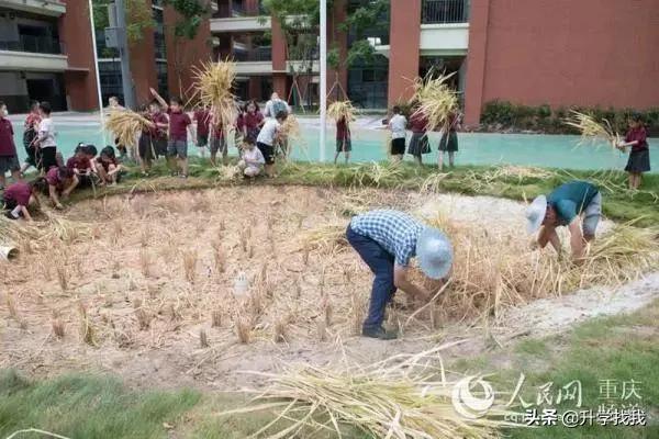 凭什么？开学第一天，重庆这所学校就火上了人民日报