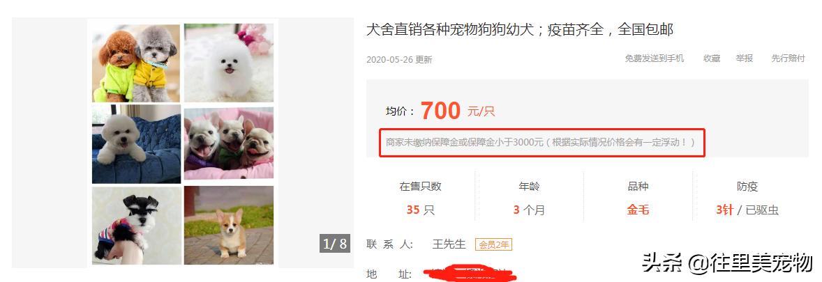 买宠物时的迷惑行为,宠物怎么买才不被骗的