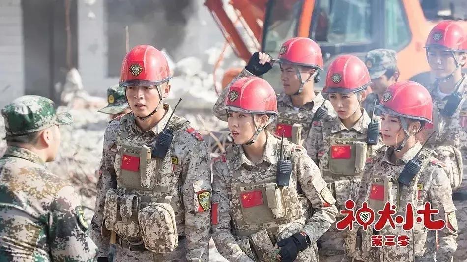 神犬小七第一季小七成为神犬,神犬小七3奇奇