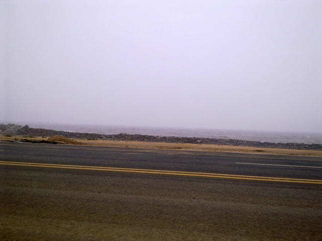 连云港海边垂钓沙光鱼“沙光一年一尺长，三年赶上老龙王”