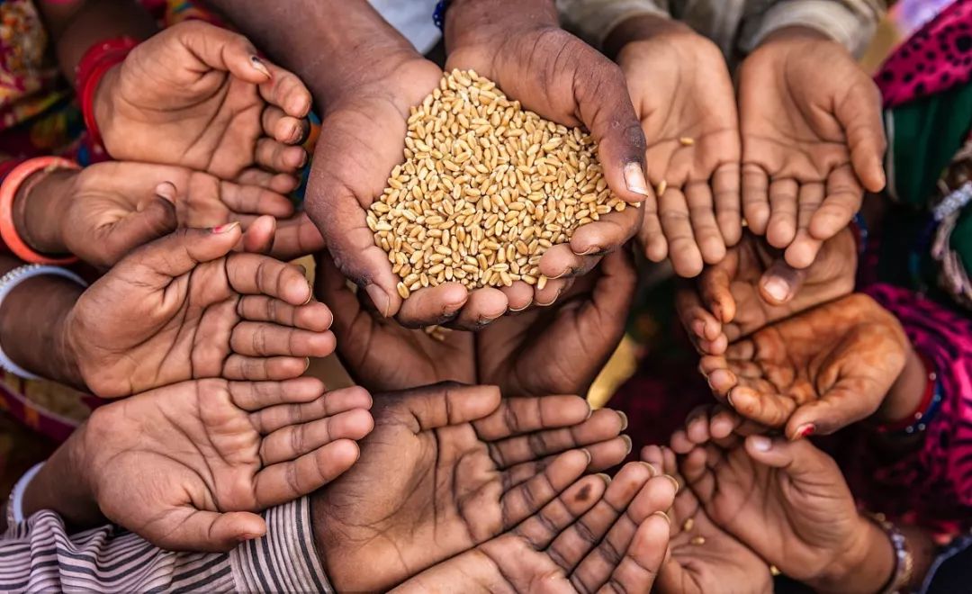 为什么饥饿的时候会感到恶心,为什么饥饿会有愉悦感