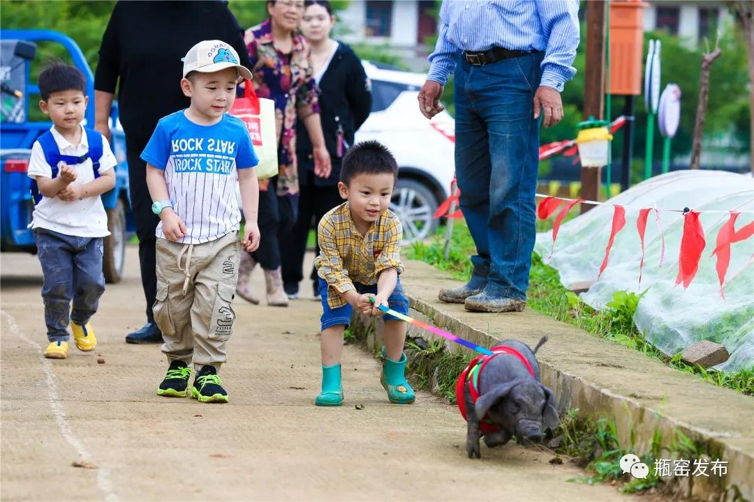 带你游浙江最美乡村,带你们看浙江风景