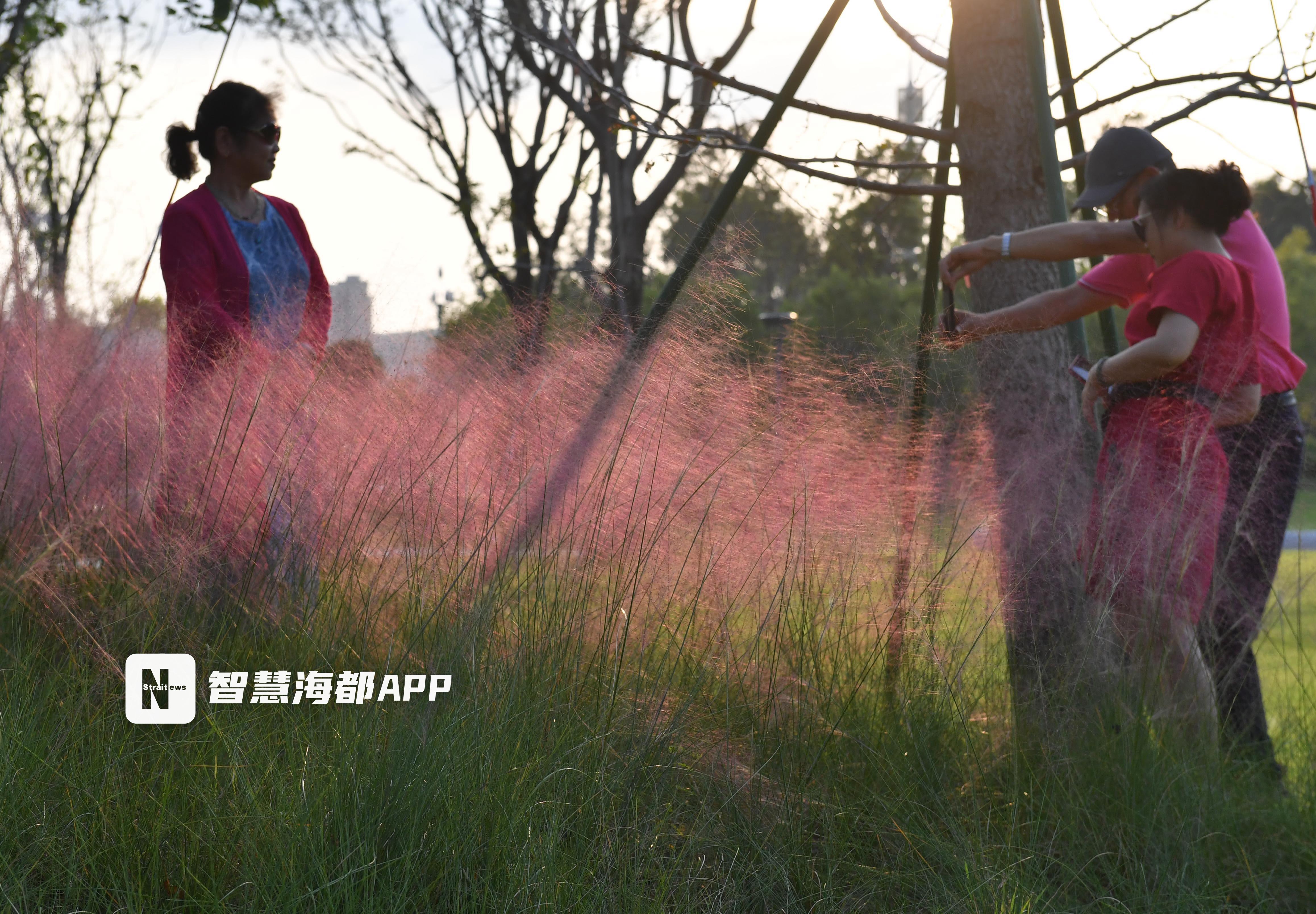 福州海丝精灵谷热气球,福州花海公园打卡网红拍照地