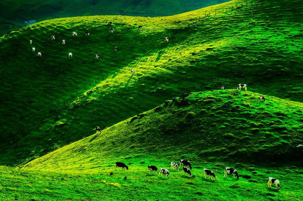 湖南第一家国家石漠公园,中国第一个国家森林公园张家界