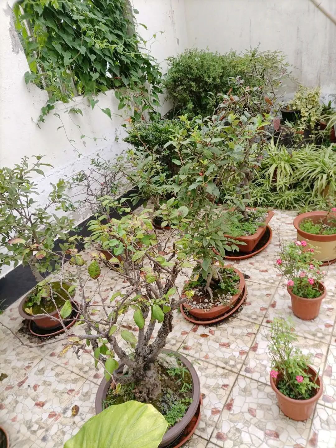 风景好的地方江阴,江阴好风景