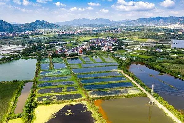 杭州西湖区足球场,富阳的湖