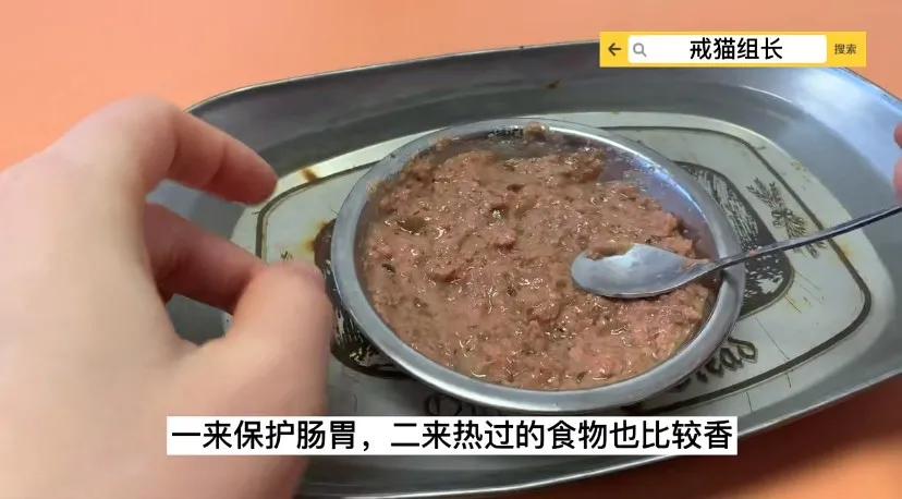 猫不吃罐罐怎么办,英短猫吃零食不吃主食咋办