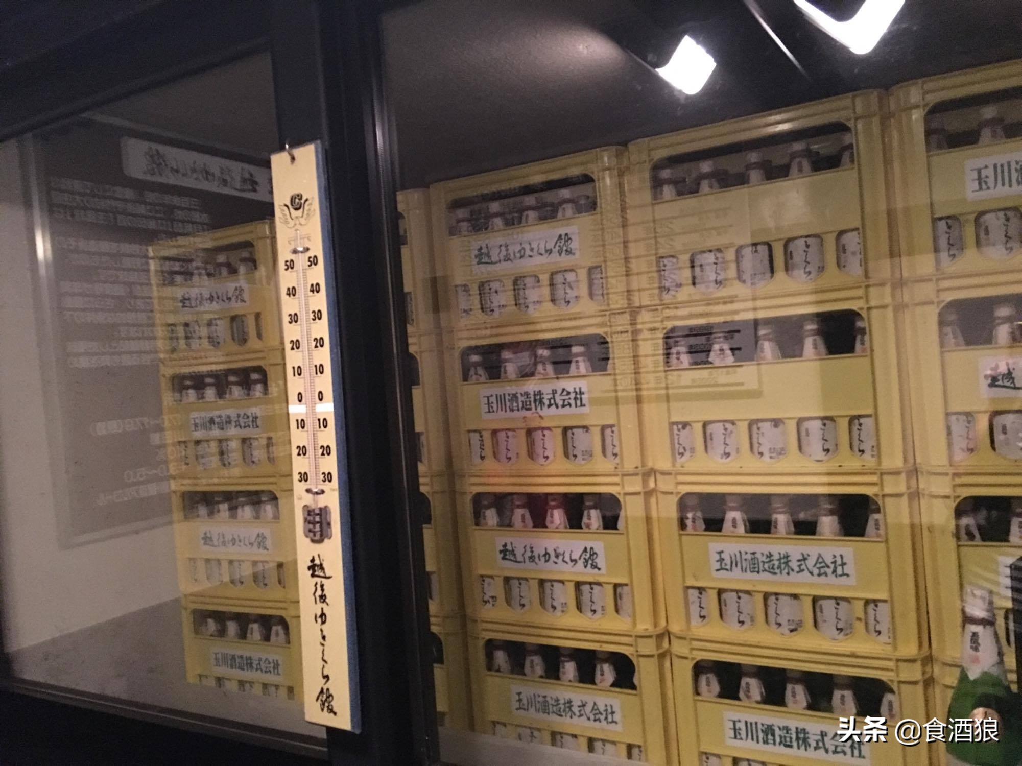 来去酒造喝清酒！玉川酒造见学