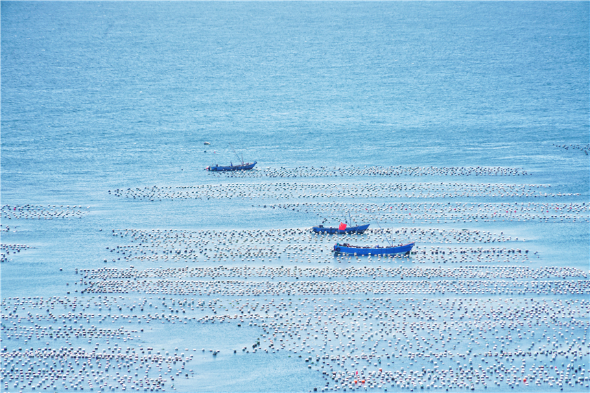 嵊泗东海渔村看日出攻略,嵊泗列岛纯海慢生活三日游