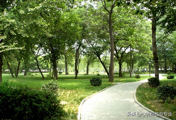 黑龙江这两所“双非”大学，都说很“牛”，你觉得怎么样？