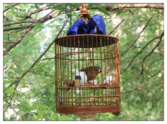 文玩从古至今的变迁,文玩的由来