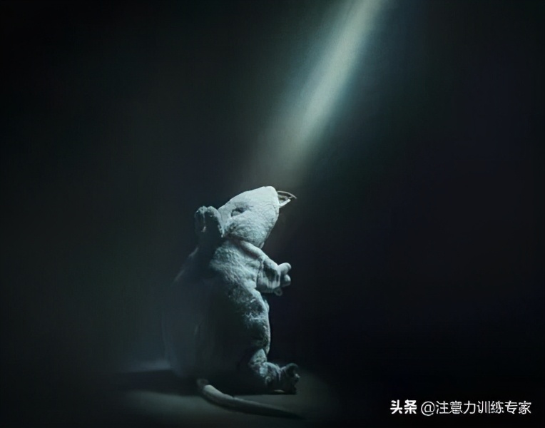 孩子上课开小差成绩好,孩子上课开小差注意力不集中