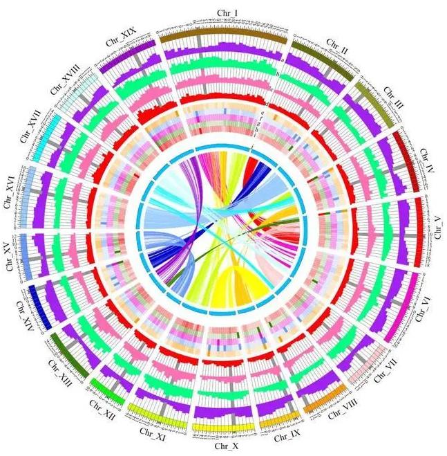 南京重大科技成果,重大突破中国科学家