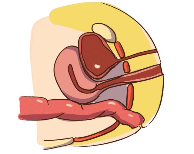 马伊琍怒赞的哑铃,马伊琍讲卵子的使命