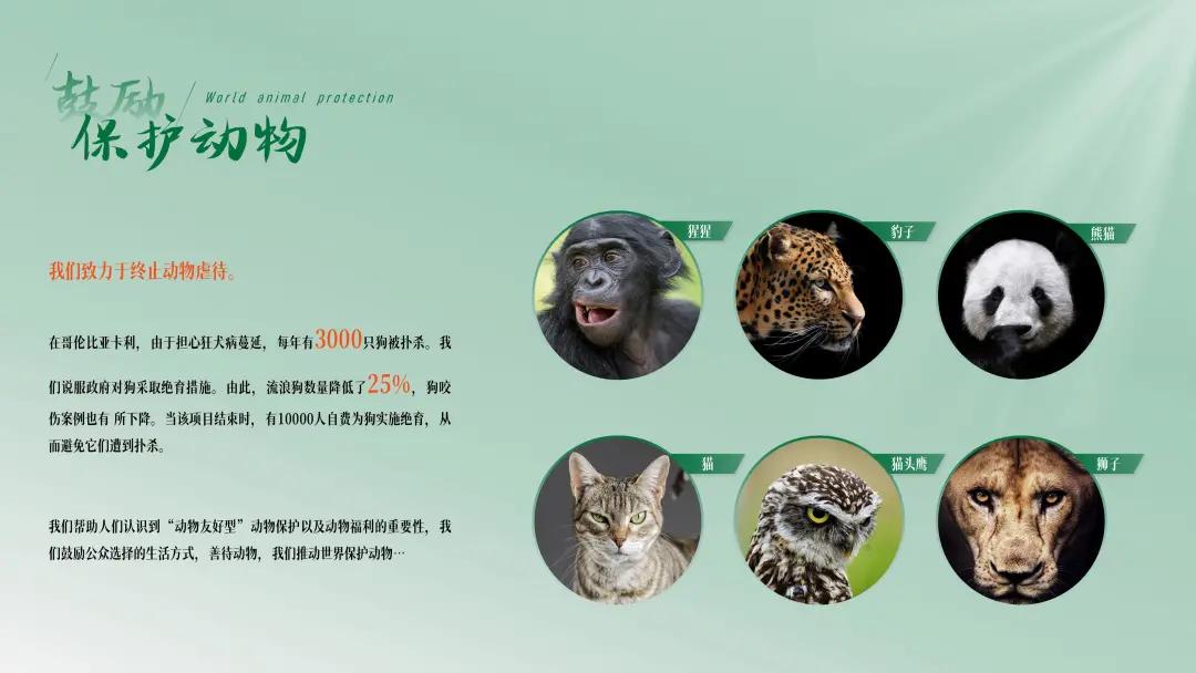 ppt排版设计技巧ppt制作培训教程,ppt优秀的图文排版案例