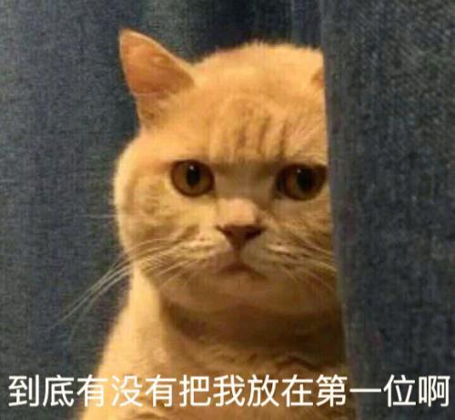 世界历史上的著名猫奴,世界三大猫奴