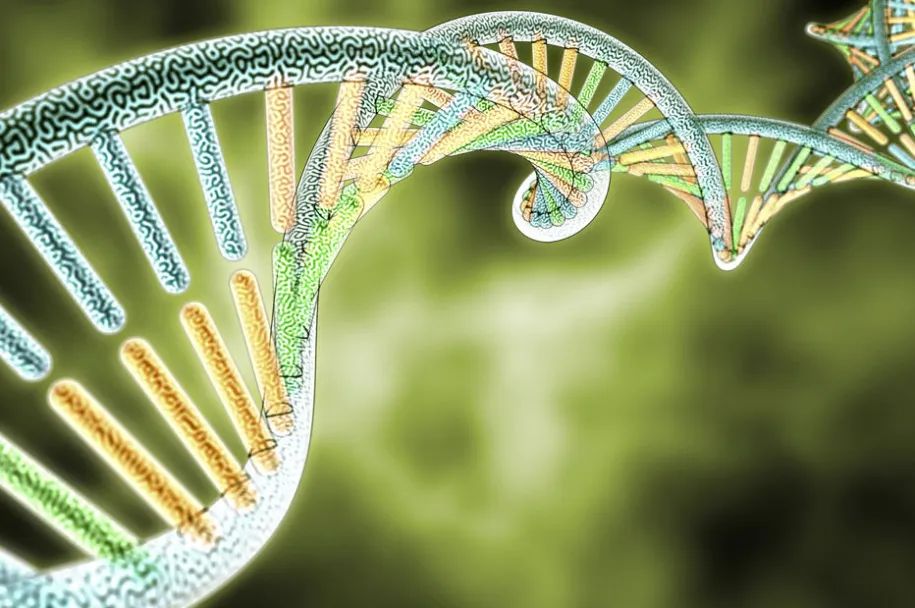 南医大女生被杀案28年后告破新闻,28年前南医女生被杀案怎么告破的